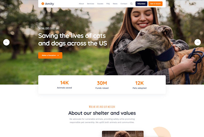 build wordpress charity, nonprofit, ngo, and donation websites design, redesign
